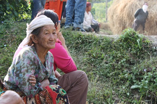 India: Traditional knowledge in Lepcha and Limbu communities (Kalimpong, Eastern Himalaya)