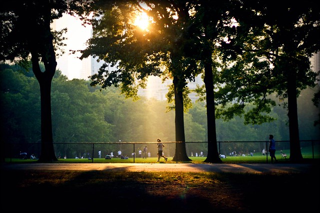 Here's a picture I took of joggers in central park right before sunset 