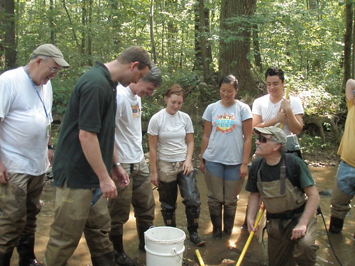 Image of summer interns and DEP staff working together to monitor streams