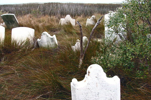 Stone Ghosts in the Marsh