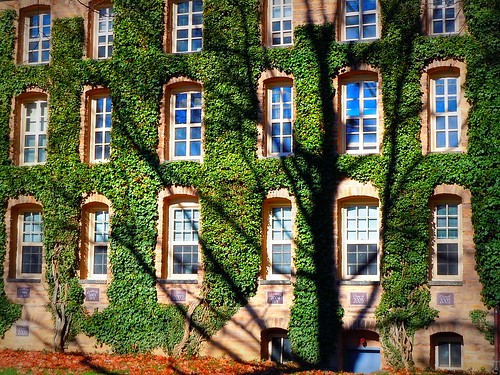 Princeton University campus by pilechko