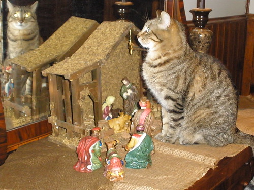 Lucy and the Nativity Set