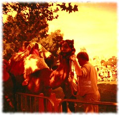 Mini Lomography Adventures in Red