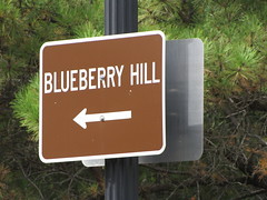 Blueberry Hill 9/29/2010