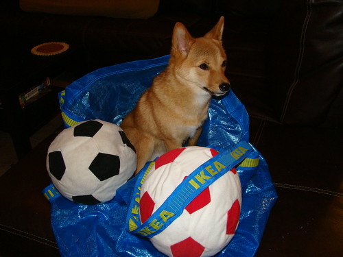 soccer ball picture