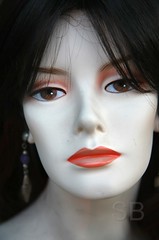 Tucson Wig Mannequins
