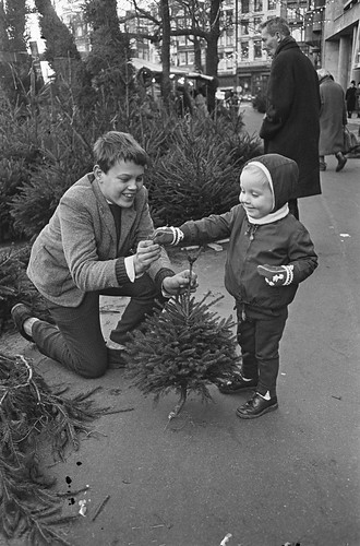 Jongetje koopt kerstboompje / Boy buying a Christmas tree