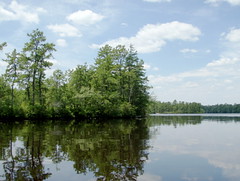 Atsion Lake, New Jersey