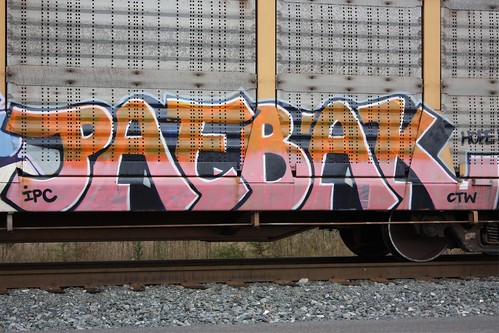Freight Train Graffiti      IMG_6641