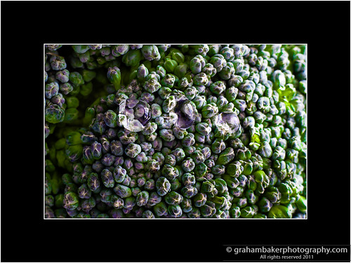 Green Violet - Broccoli