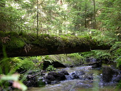 Český Les - Böhmer Wald