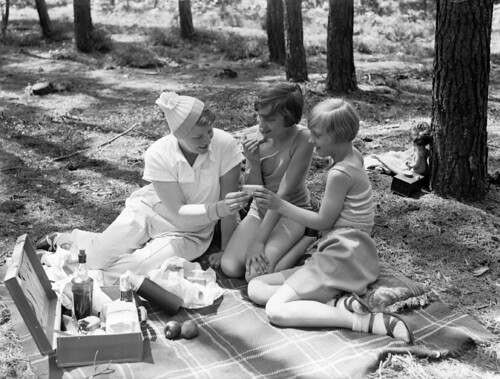 Picknicken in het bos / A picnic in the forest