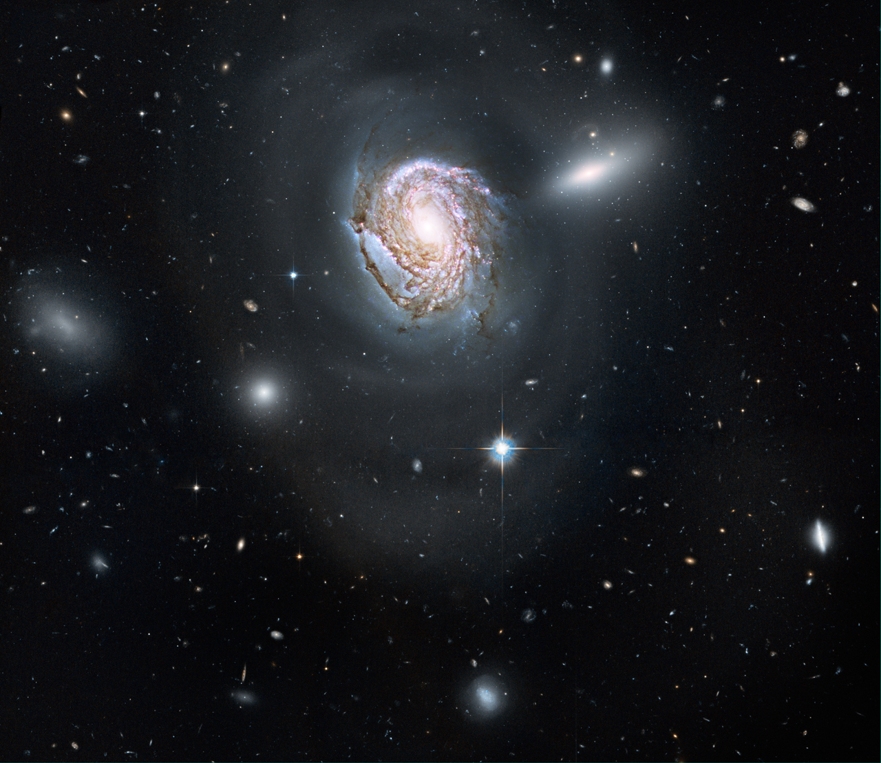 Hubble Sees 'Island Universe' in the Coma Cluster