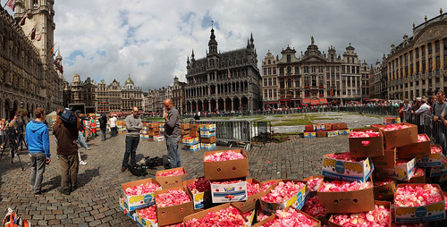 Thursday 01PM, The trucks with the flowers are discharging for the biggest carpet flowers in the world, Brussels Belgium