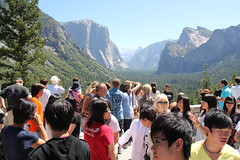 Yosemite 7-21-2010