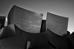 Frank Gehry Designed Concert Hall