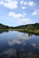 Lac du Lispach - Champis