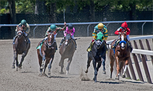 Belmont Race Track by Alida's Photos