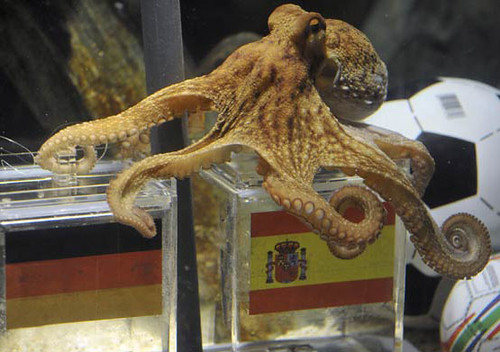 Octopus Paul (Germany Vs Spain)