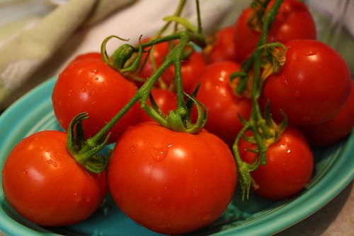 Growing Tomato
