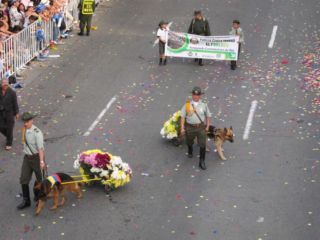 Police dogs pulling custom flower carts!