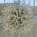 Dale Chihuly-Gilded Silver and Aquamarine Chandelier 3