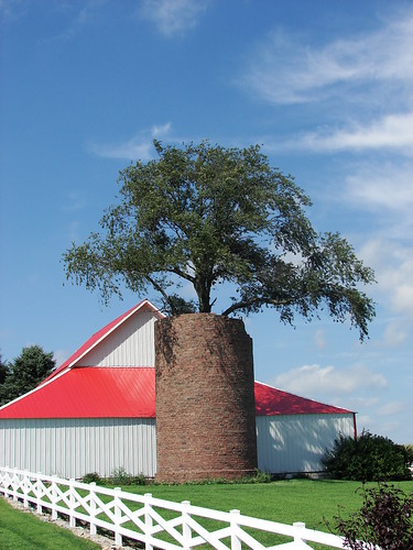 Henry County tree planter
