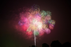 Fireworks (Hanabi 2010)