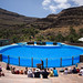 Delfinario de Palmitos Park.Gran Canaria