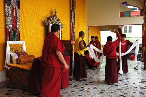 Tibetan Buddhist monks and lamas leaning up at the end of the Amitayus - Hayagriva Long Life Blessing and Initiation, young monks folding up the long ceremonial khatags, overseen by two senior Tibetan Buddhist monks, Boudha, Kathmandu, Nepal by Wonderlane