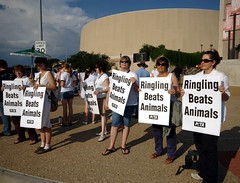 Ringling Circus Protest