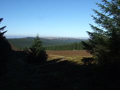 Scotchland Pics