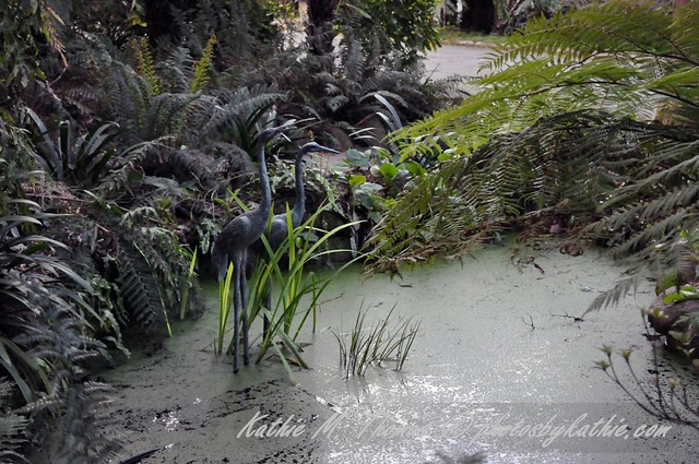 A pond at Alfred Nicholas garden