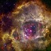 Rosette Nebula (NASA, Chandra, 09/08/10) [EXPLORED]
