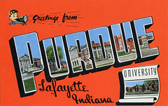 University Large Letter Postcards