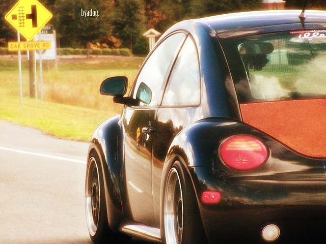 Some hellaflush Beetle I sawnot my thing but it does look kinda cool