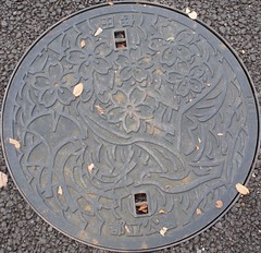 Japan2010-52-012