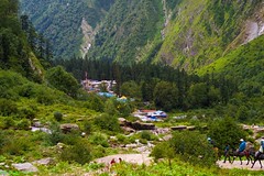 India: Himalaya Ghangaria