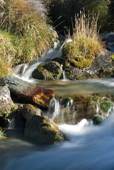 Water: Waterfall/rapids