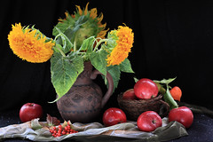 Still lifes with Sunflowers
