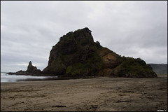 The Lion Rock at Piha Beach