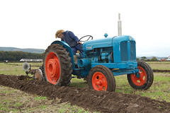 Vintage tractors working