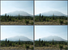 (Stereo) A Summer Excursion to Mt. St. Helens