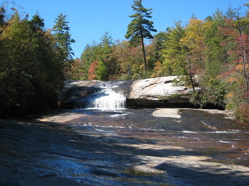Dupont State Forest