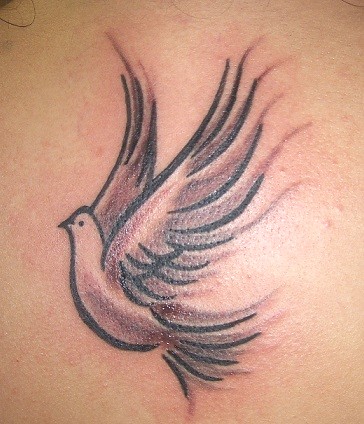 Peace Dove On back Done by Libby Mitchell at Conspiracy Ink Tattoos in 