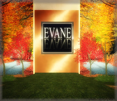 Evane Fall Show  30/09/2010