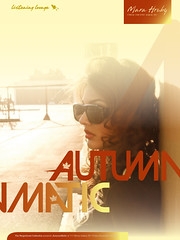 AutumnMatic [2010]