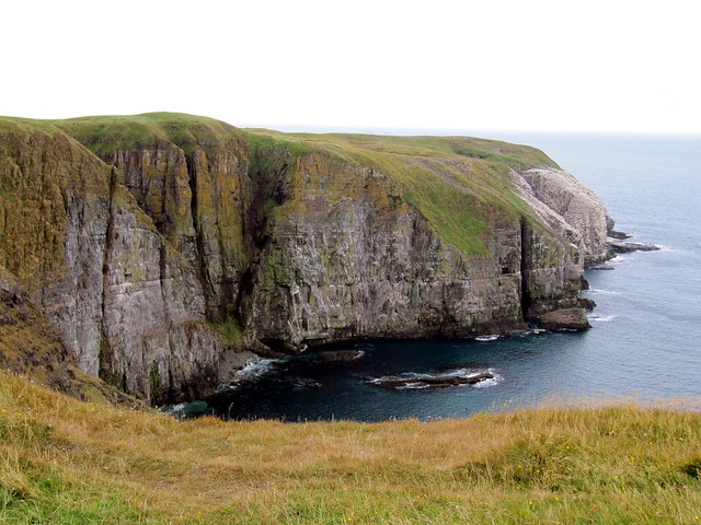 ... Scenery, Cape St. Mary's Ecological Reserve, Newfoundland, Canada