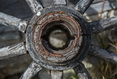 Old Wooden Wheel Close-Up