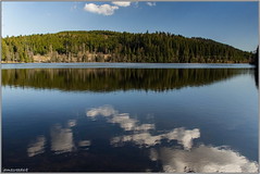 lac de Windgfällweiher - forêt noire